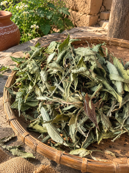 Natural Stevia Leaves for Sugar-Free Lifestyle | सूखी स्टीविया की पत्तियां [250 gm]